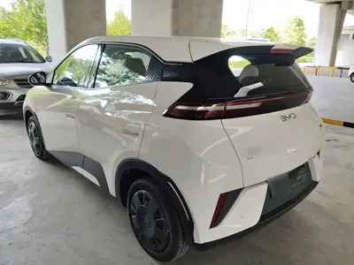 BYD Seagull