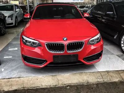 BMW 2 Series (Import)