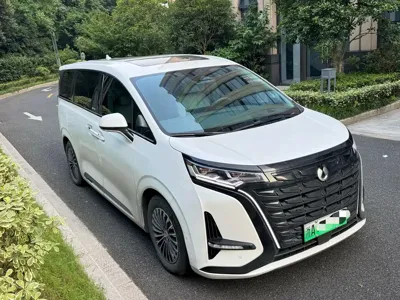 Denza Denza D9