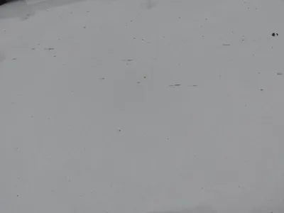 MG 3
