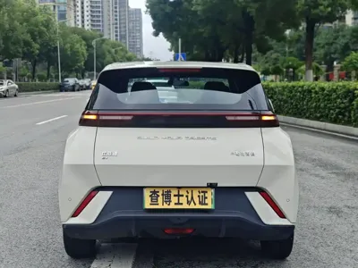 BYD Seagull