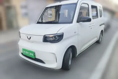 Wuling Zhiguang New Energy