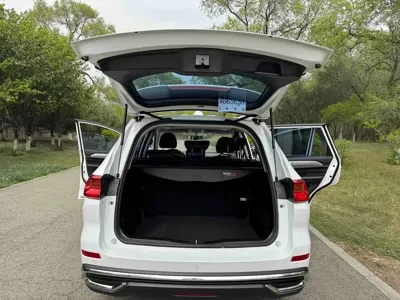 Haval M6