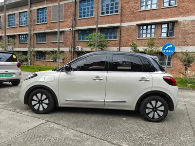 Wuling Bingo