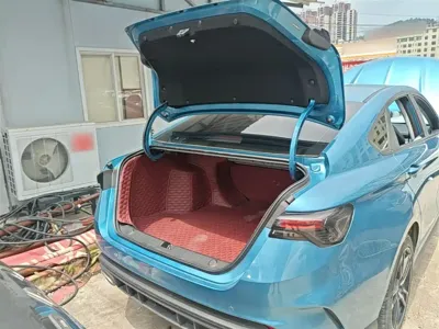 Geely Binrui
