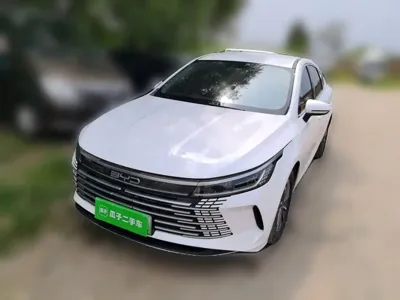 BYD Destroyer 05