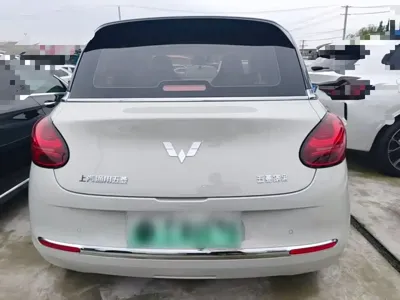 Wuling Bingo
