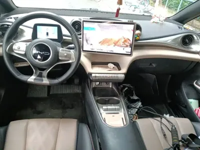 BYD Dolphin
