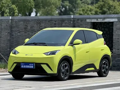 BYD Seagull