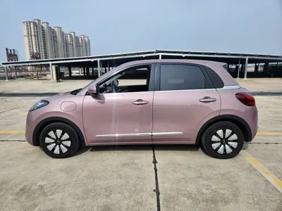 Wuling Bingo