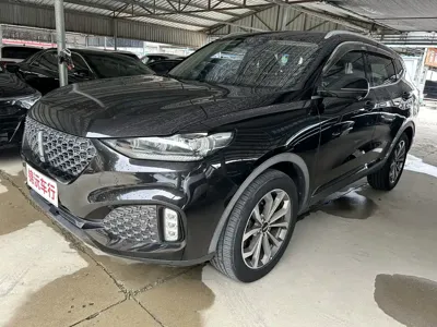 WEY Wey VV6