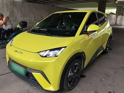 BYD Seagull