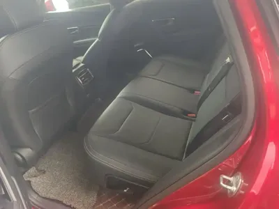 BYD Pro