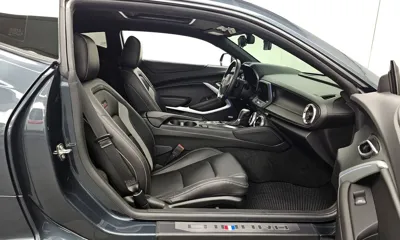 ChevroletGMDaewoo Camaro