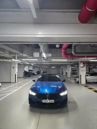 BMW 8-Series