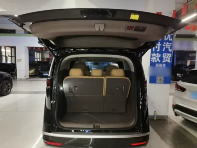 Denza D9