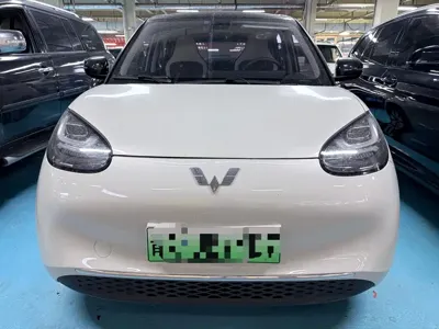 Wuling Bingo