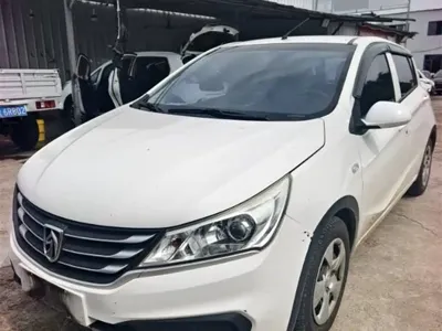Baojun 310