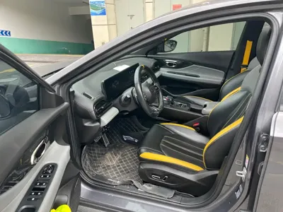 GAC Motor Shadow Leopard