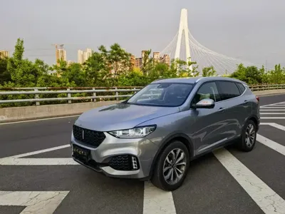 WEY Wey VV6