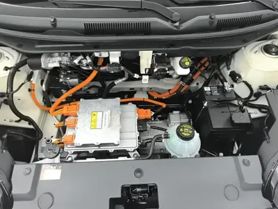 Wuling Bingo
