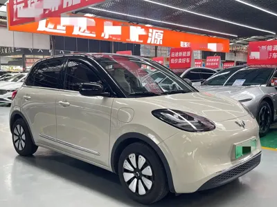 Wuling Bingo