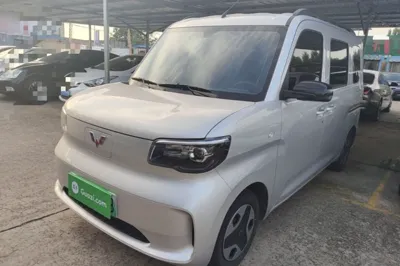 Wuling Zhiguang New Energy