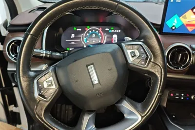 WEY VV6