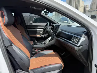 BYD PLUS