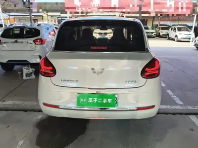 Wuling Bingo