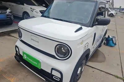 Geely Galaxy Panda