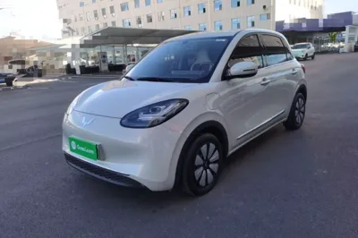 Wuling Bingo