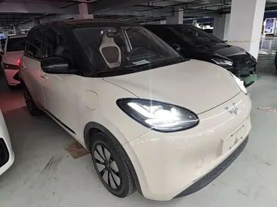 Wuling Bingo