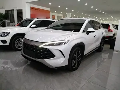 BYD L DM-i
