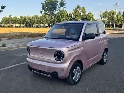 Galaxy Panda