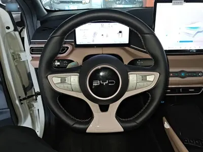 BYD Seagull