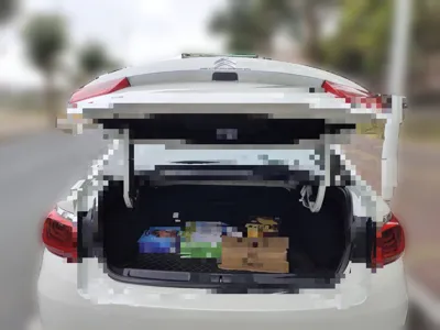Citroen C4 Sega