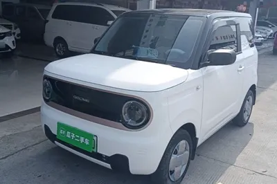 Geely Galaxy Panda
