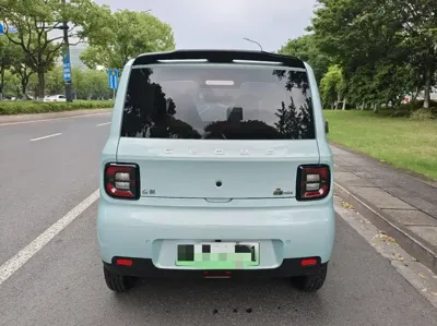 Galaxy Panda