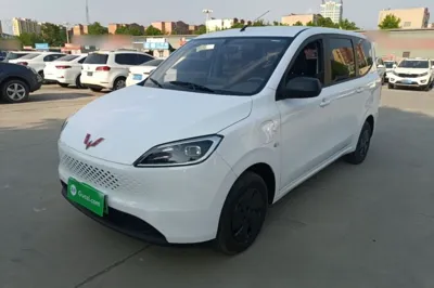 Wuling Hongguang New Energy