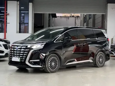 Denza Denza D9