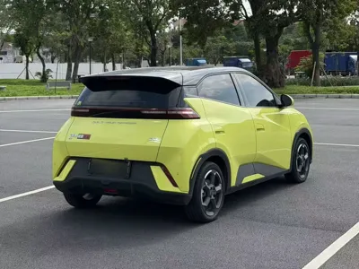 BYD Seagull