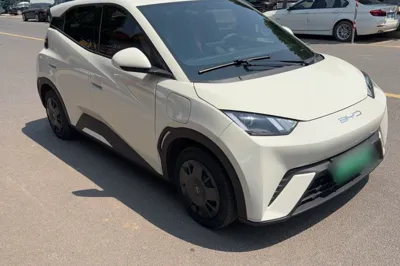 BYD Seagull