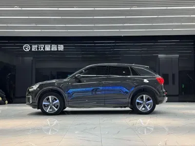 Audi Q2L e-tron