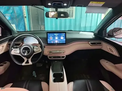 BYD Seagull