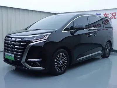 Denza Denza D9