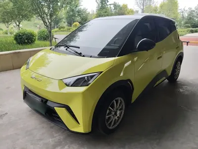 BYD Seagull