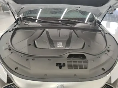BYD Tang New Energy