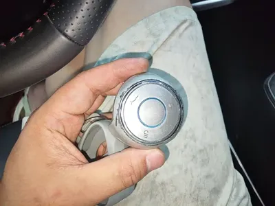 NETA Neta V