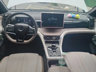 BYD Pro New Energy